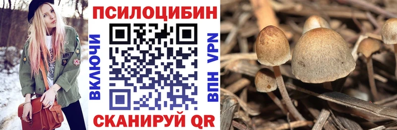 Псилоцибиновые грибы Psilocybe  Туймазы 