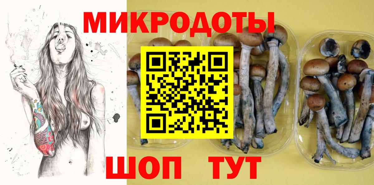 Галлюциногенные грибы GOLDEN TEACHER  Вход с VPN  Туймазы  Псилоцибиновые грибы мухоморы 